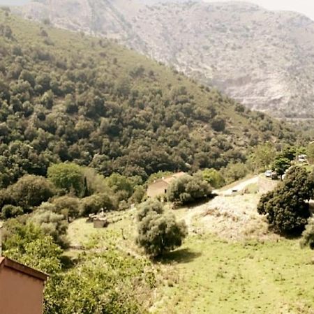 Appartement T2 Chez Thomas Et Nas Omessa Εξωτερικό φωτογραφία