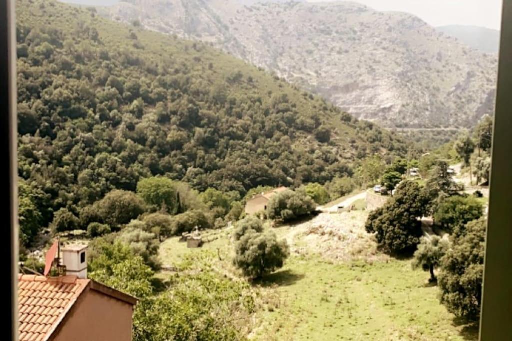 Appartement T2 Chez Thomas Et Nas Omessa Εξωτερικό φωτογραφία