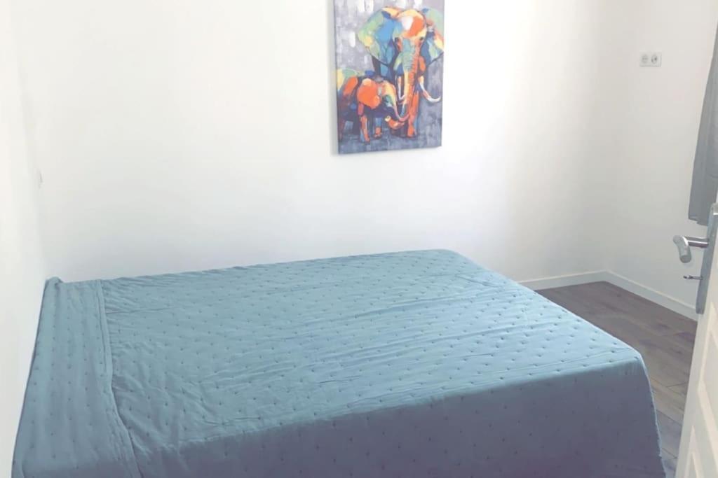 Appartement T2 Chez Thomas Et Nas Omessa Εξωτερικό φωτογραφία