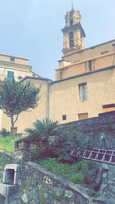 Appartement T2 Chez Thomas Et Nas Omessa Εξωτερικό φωτογραφία